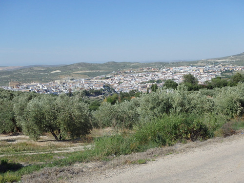 The city of Baena.